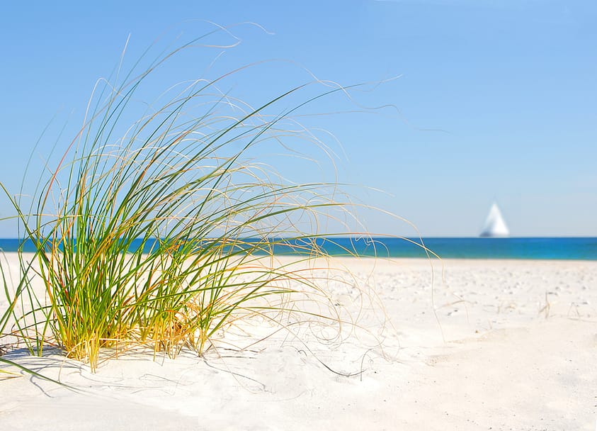 A picture of a Florida Beach with a sailboat in the background