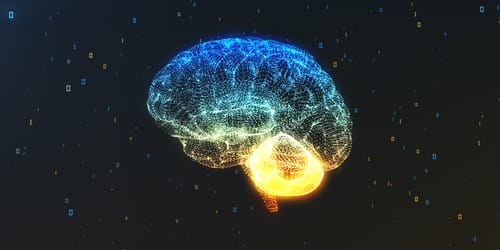 Methamphetamine Effect on the Brain