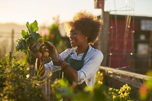 Woman looks at fruit she grew during gardening therapy