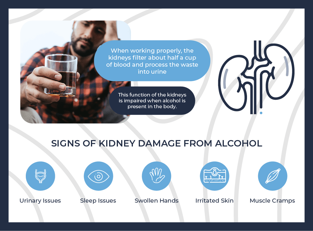 signs of kidney damage from alcohol