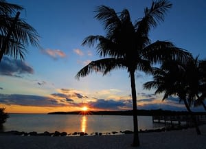 Rehabilitation Melbourne FL offers is pleasant and sunny.
