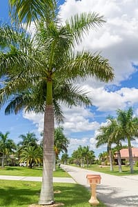 Beautiful drug and alcohol detox centers in Cape Coral FL 