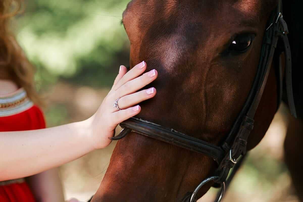 girl in equine therapy petting cute horse