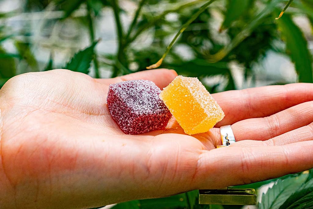 Edibles vs. Smoking Marijuana: What's Safer? | Teen Rehab