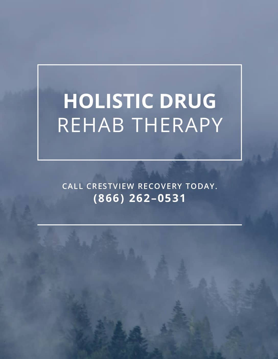 Crestview Recovery Holistic Drug Therapy Pdf
