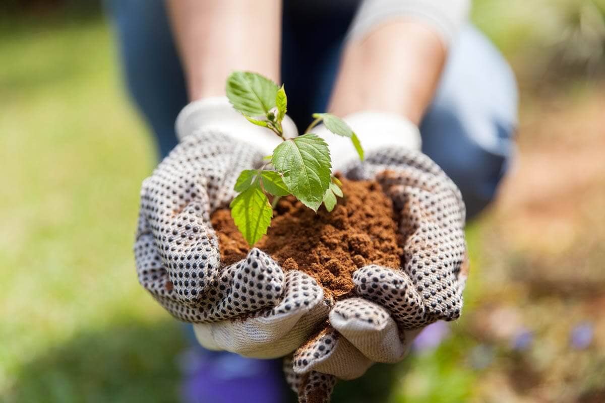 Woman gardening wonders what is reality therapy