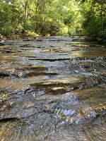 Creek-by-Mossy-Oak-Summer-2021-1-scaled