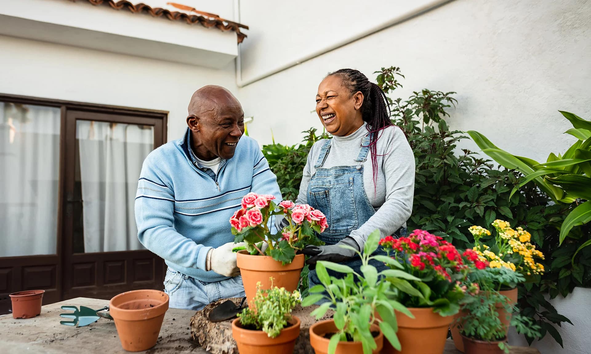 Senior couple gardening outdoors.