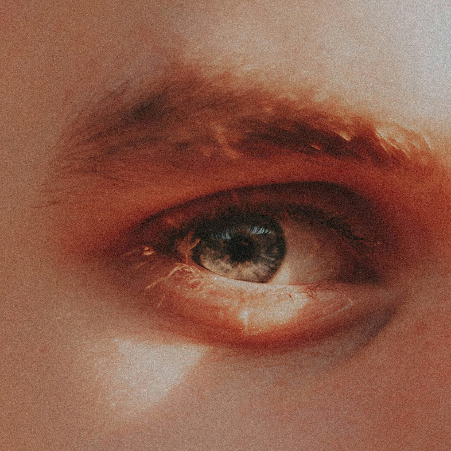 mathias-reding-BPZeux7G5gA-unsplash