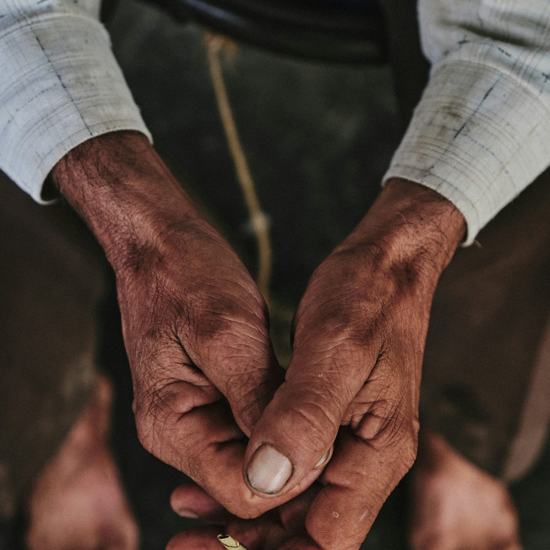 roberta-sant-anna-jboNS0gzIIc-unsplash