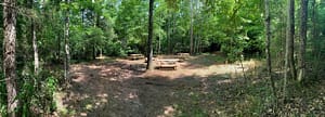 Mossy-Oak-July-2021-1-scaled