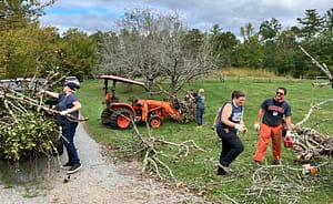 Willows Cleanup Crew