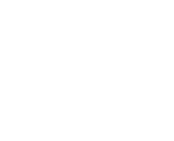 Bracelogo.png-6