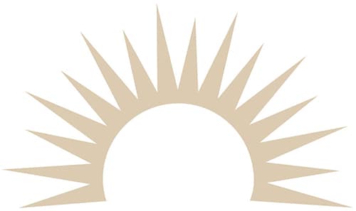TRU-Final-Logo-sun-icon-2 shape