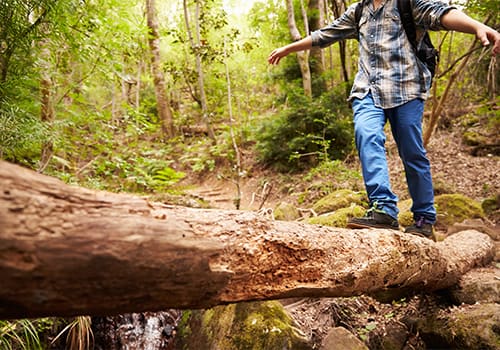 An example of experiential therapy in North Carolina