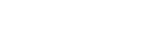 Bracelogo.png-1