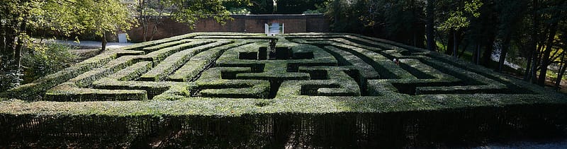 hedge maze