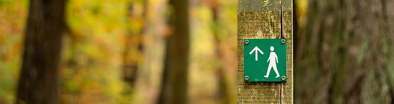 signpost in the woods