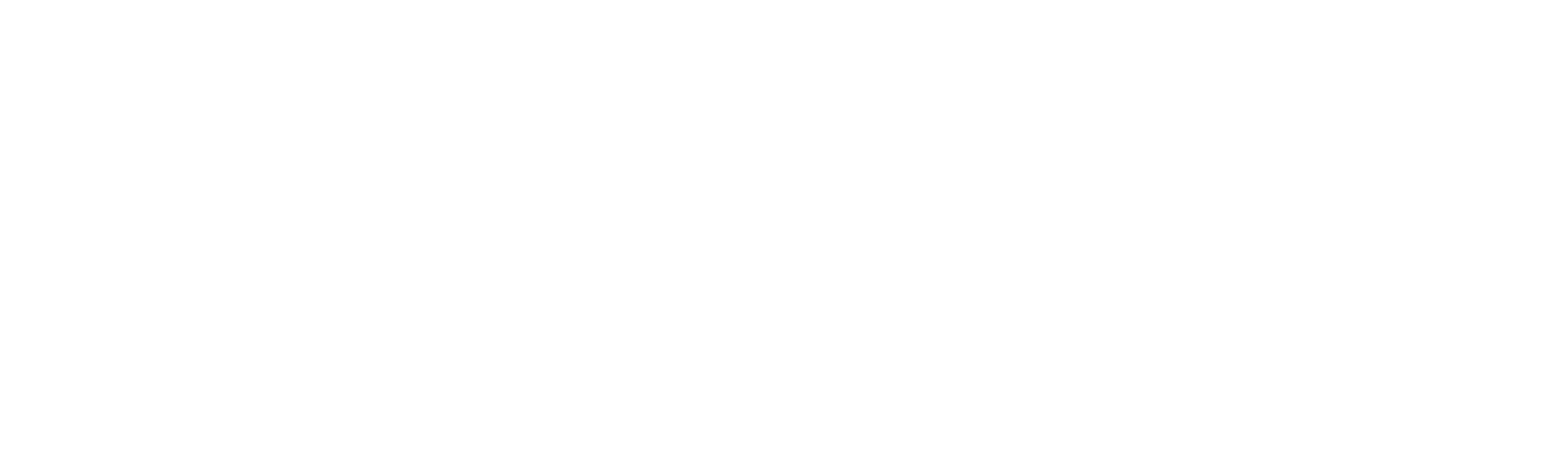 Optum.png